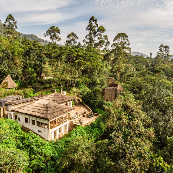 Bwindi Impenetrable Forest