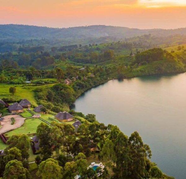 Kibale Forest Camp's captivating view