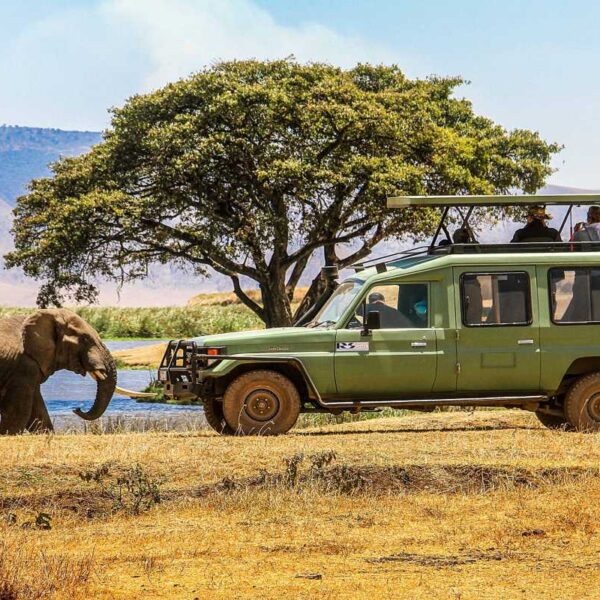 West. Witness diverse wildlife, stunning landscapes, and iconic Mount Kilimanjaro