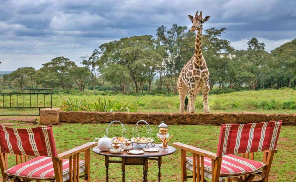 Magnificent view at the Giraffe Manor Hotel, Nairobi