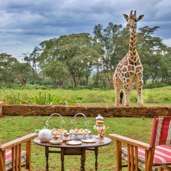 Magnificent view at the Giraffe Manor Hotel, Nairobi