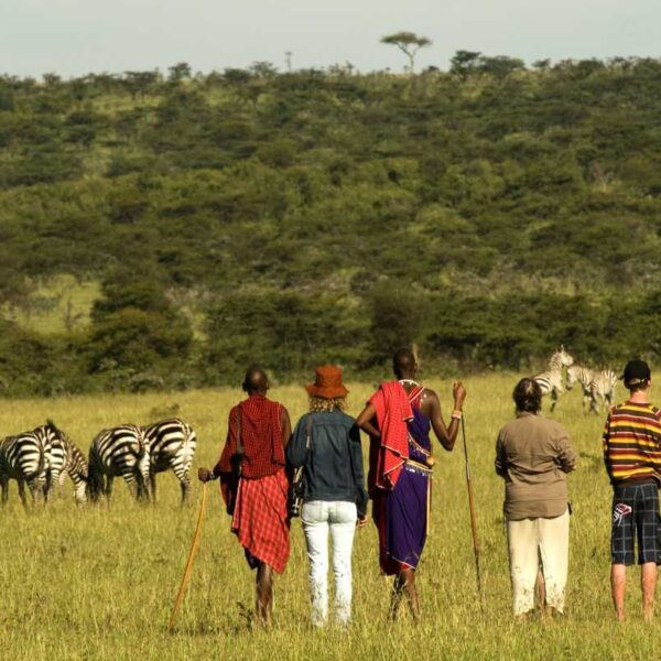 Breathtaking scenery at ngorongoro