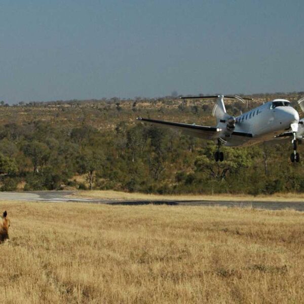 Meru Samburu and Mara Kenya Flying Safari