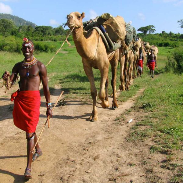 Maasai culture. Discover mountain forests, hot deserts, Lake Turkana & vibrant culture